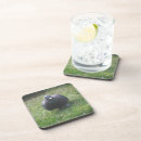 Zoek naar duif onderzetters Natuur