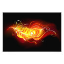 Recherche de oiseau phoenix posters Plumes