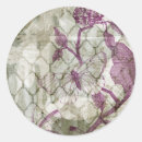 Recherche de arabesques autocollants Animaux