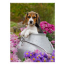 Recherche de chiens mignons posters Pour enfants
