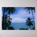 Recherche de monde naturel posters Horizontal