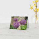 Recherche de oignons vœux cartes Jardin