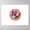 Recherche de cytologie posters Horizontal