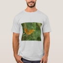 Recherche de papillon homme tshirts Nature