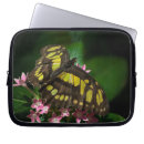 Zoek naar sterren laptop sleeves Foto