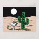 Recherche de personnages cartes postales Désert