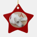 Recherche de rouge ornements Chien
