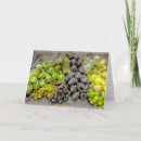 Recherche de vignobles vœux cartes Raisins