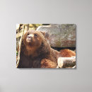 Recherche de ours impressions sur toile Brun