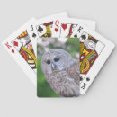 Recherche de chou jeux de cartes Oiseau