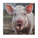 Recherche de langue carreaux Drôle