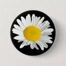 Recherche de camomille badges Fleurs