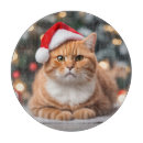 Recherche de humour animal planches à découper Chaton