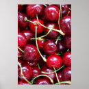 Zoek naar rode kersen kunst Lente