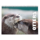Zoek naar otters kalenders Zee