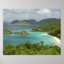 Recherche de les antilles posters Tropical