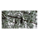 Recherche de neige couverte posters Hiver