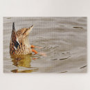 Recherche de duck puzzles Bird