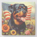 Recherche de rottweiler dessous de verres Chiot
