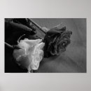 Zoek naar zwart wit roze posters Bloem