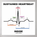 Recherche de ecg posters Ekg