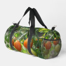 Recherche de tomates sacs Pour elle