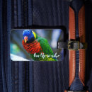 Recherche de vie verte accessoires Nature