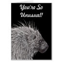 Recherche de porc épic cartes postales Dessin