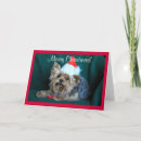 Zoek naar yorkie kaarten Santa