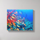 Recherche de poissons tropicaux toiles Corail