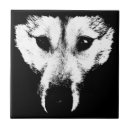 Recherche de loups carreaux Chiot