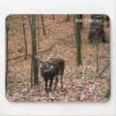 Recherche de mâle électronique Cerfs communs