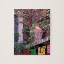 Recherche de lierre puzzles Architecture