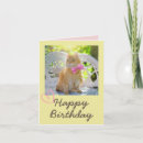 Recherche de vintage de chaton anniversaire cartes Pour elle