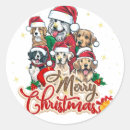 Recherche de noël drôle autocollants Chien