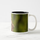 Recherche de arrière cour tasses Jour