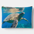 Recherche de tortues accessoires Vie marine