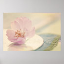 Recherche de fleurs de cerisier posters Sakura