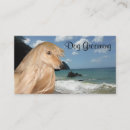 Recherche de levrier cartes visite Mignon