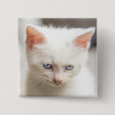 Recherche de se reposer badges Chaton