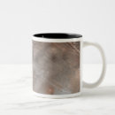 Recherche de topographique tasses Texture