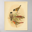 Recherche de rouge noir posters Couleur