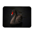 Recherche de bec magnets Oiseau