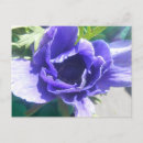 Recherche de de marguerite cartes postales Moderne