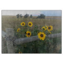 Recherche de tournesols planches à découper Pays