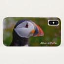 Zoek naar puffin iphone hoesjes Wild
