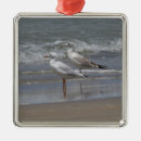 Recherche de mouettes ornements Bord de la mer