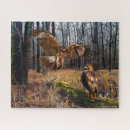 Recherche de hawk puzzles Nature