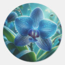 Zoek naar blauwe orchidee stickers Orchideeën