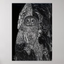 Zoek naar zwarte witte uil posters Boom